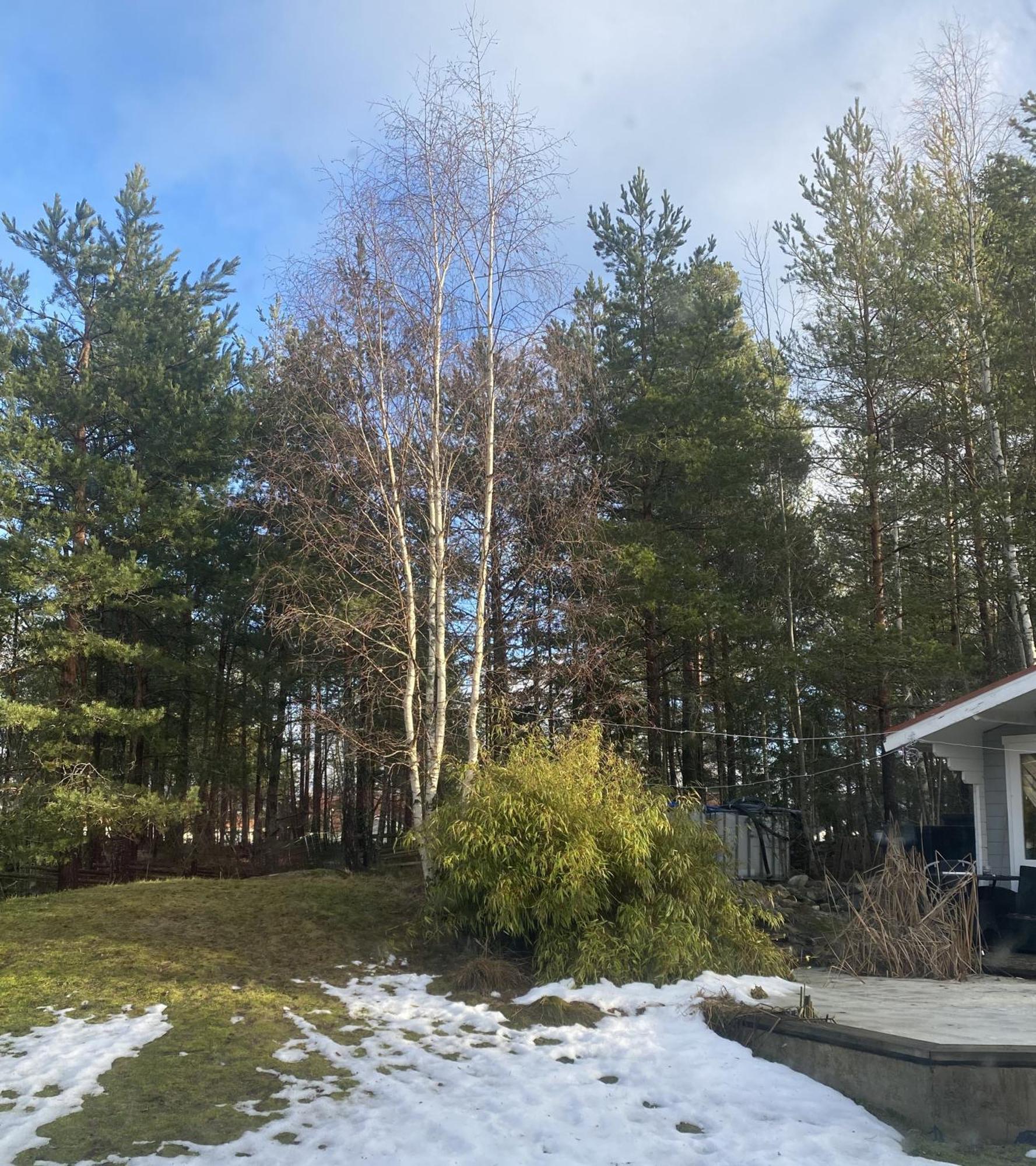 Villa In Svalsaeter, Kallfors, Jaerna, South Of Stockholm, Near Golf, Ytterjaerna Cultural House & The Baltic Sea Beach Järna Dış mekan fotoğraf